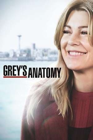 Serie Grey's Anatomy: B-Team