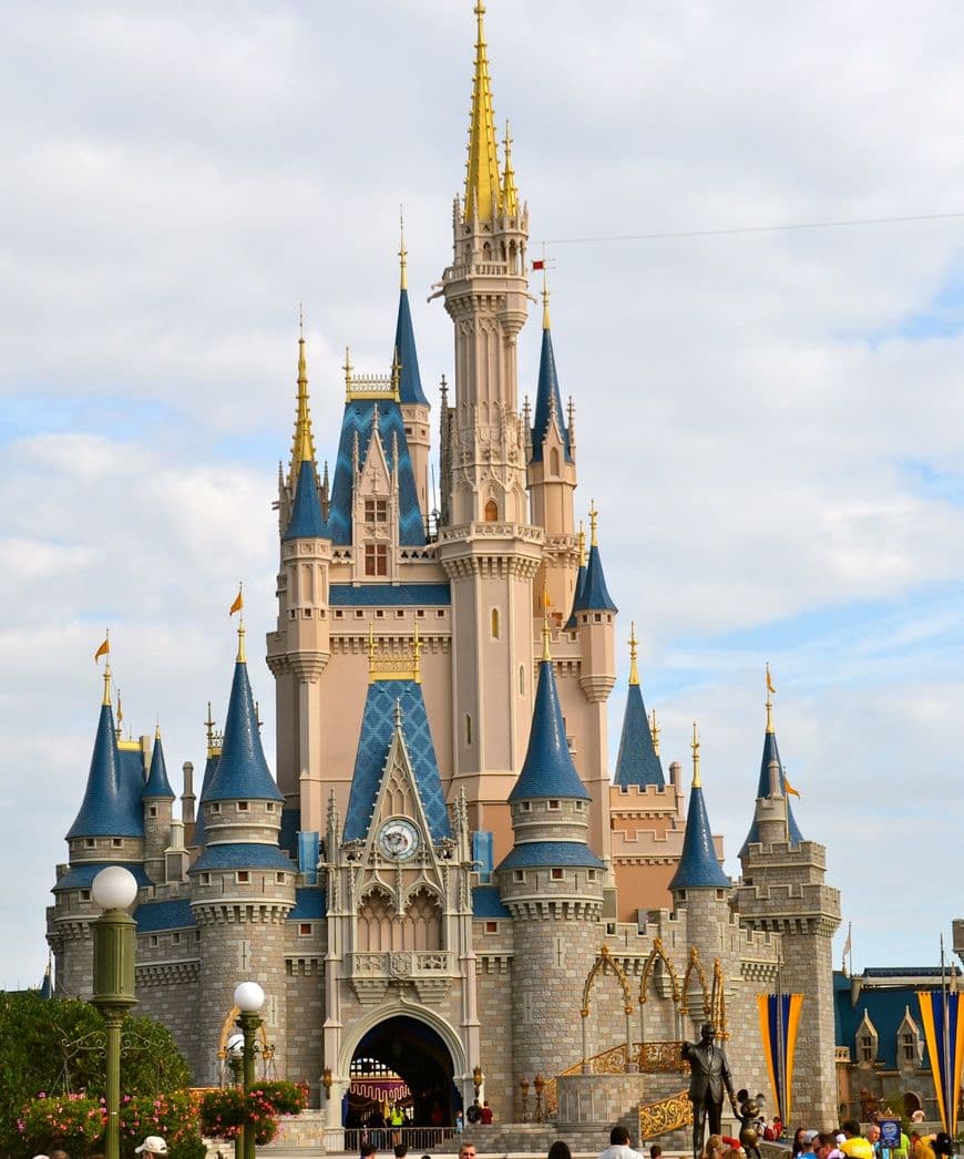 Place Magic Kingdom