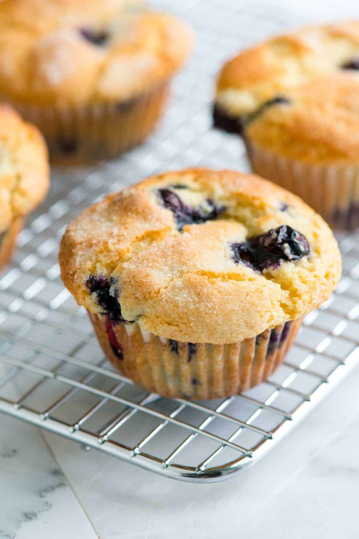 Fashion Muffins de blueberry 