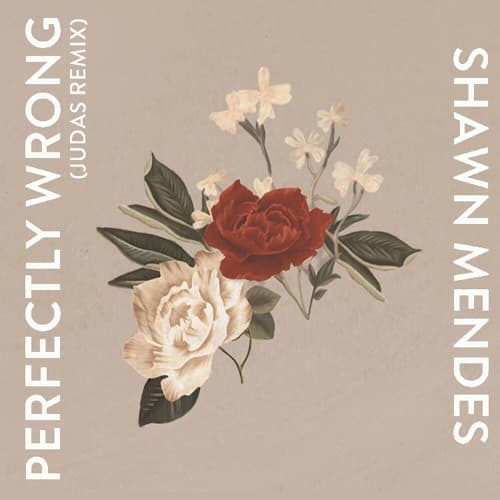 Music Shawn Mendes - Perfectly Wrong 