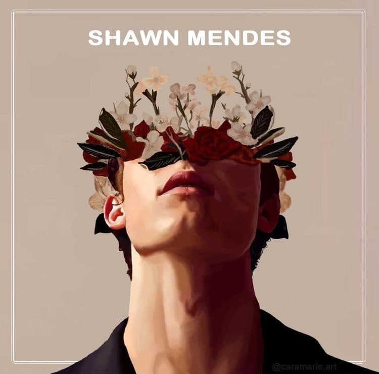 Music Shawn Mendes - Mutual 