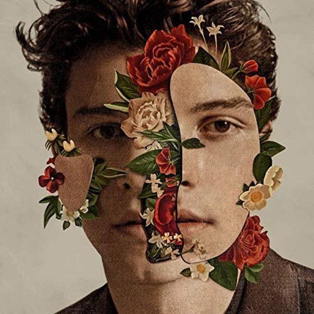 Canción Shawn Mendes - Queen