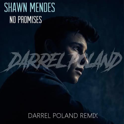 Canción Shawn Mendes - No Promises 