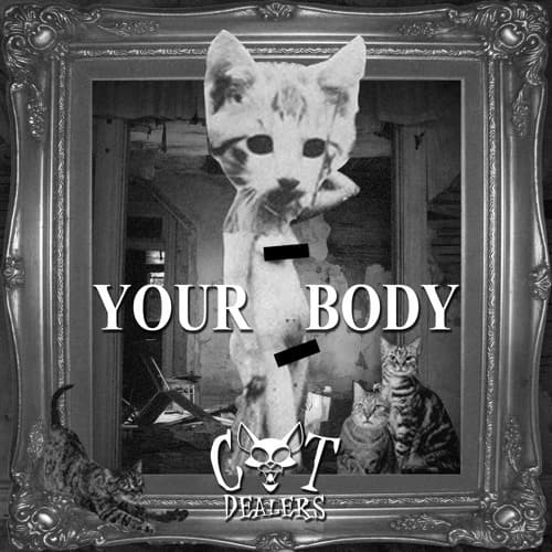 Music Your Body - Cat Dealers