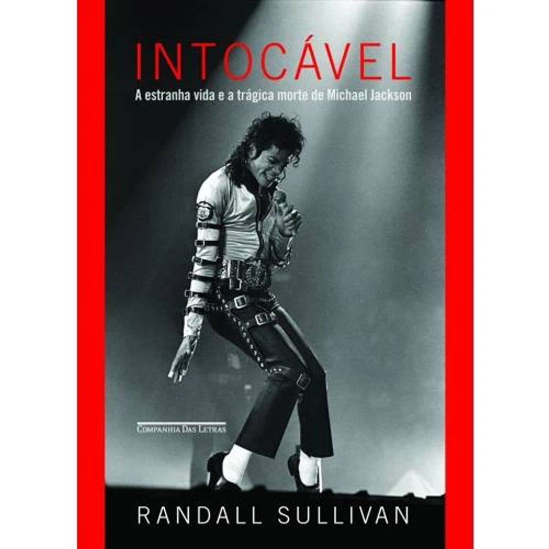 Fashion Michael Jackson intocável biografia