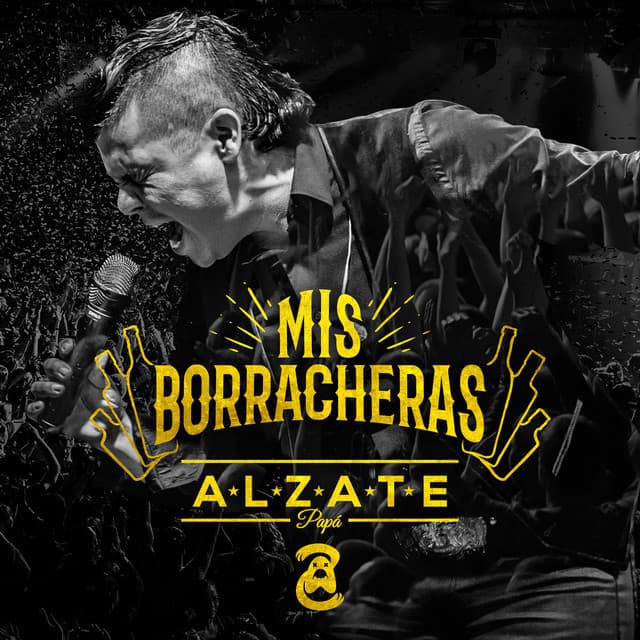 Canción Mis Borracheras