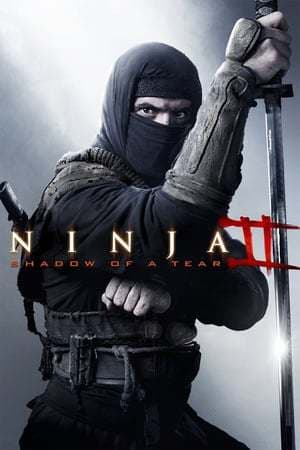 Película Ninja: Shadow of a Tear