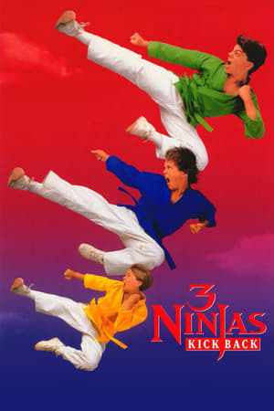 Película 3 Ninjas Kick Back