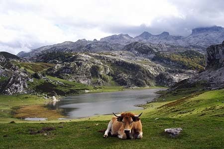 Place Lagos de Covadonga