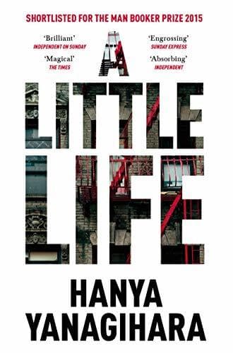 Libro A Little Life