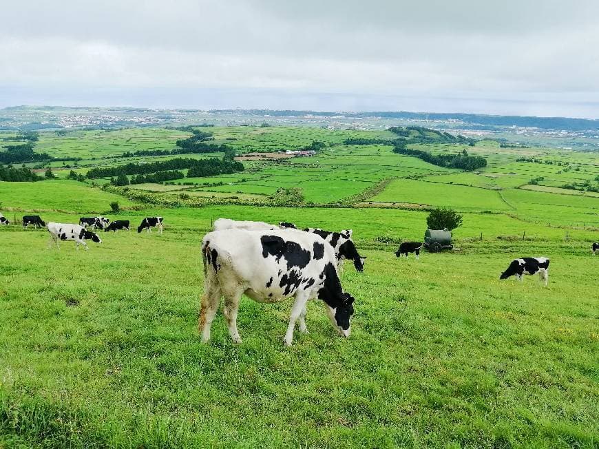 Lugar Açores