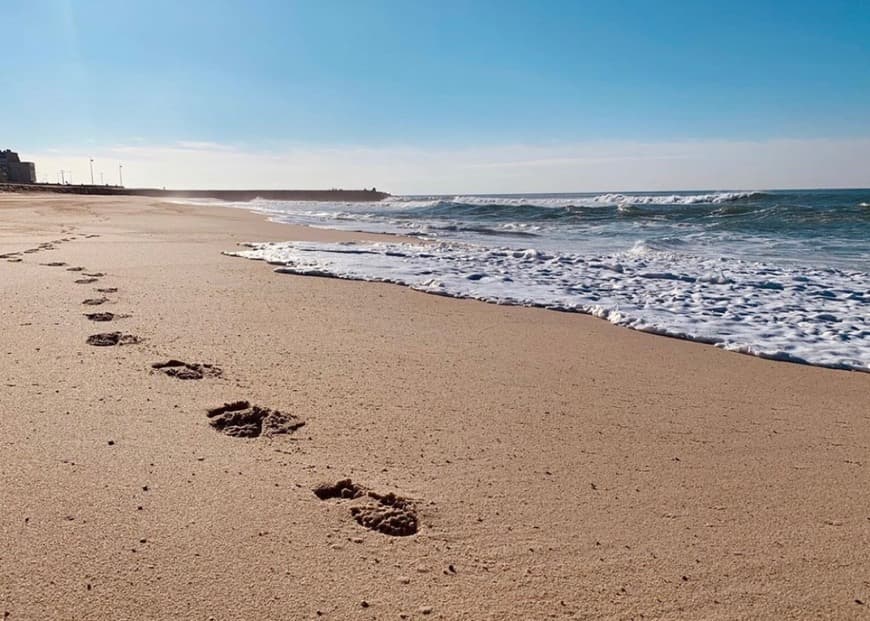 Lugar Furadouro Beach