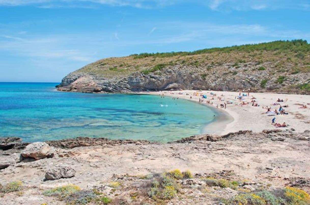 Place Cala Torta