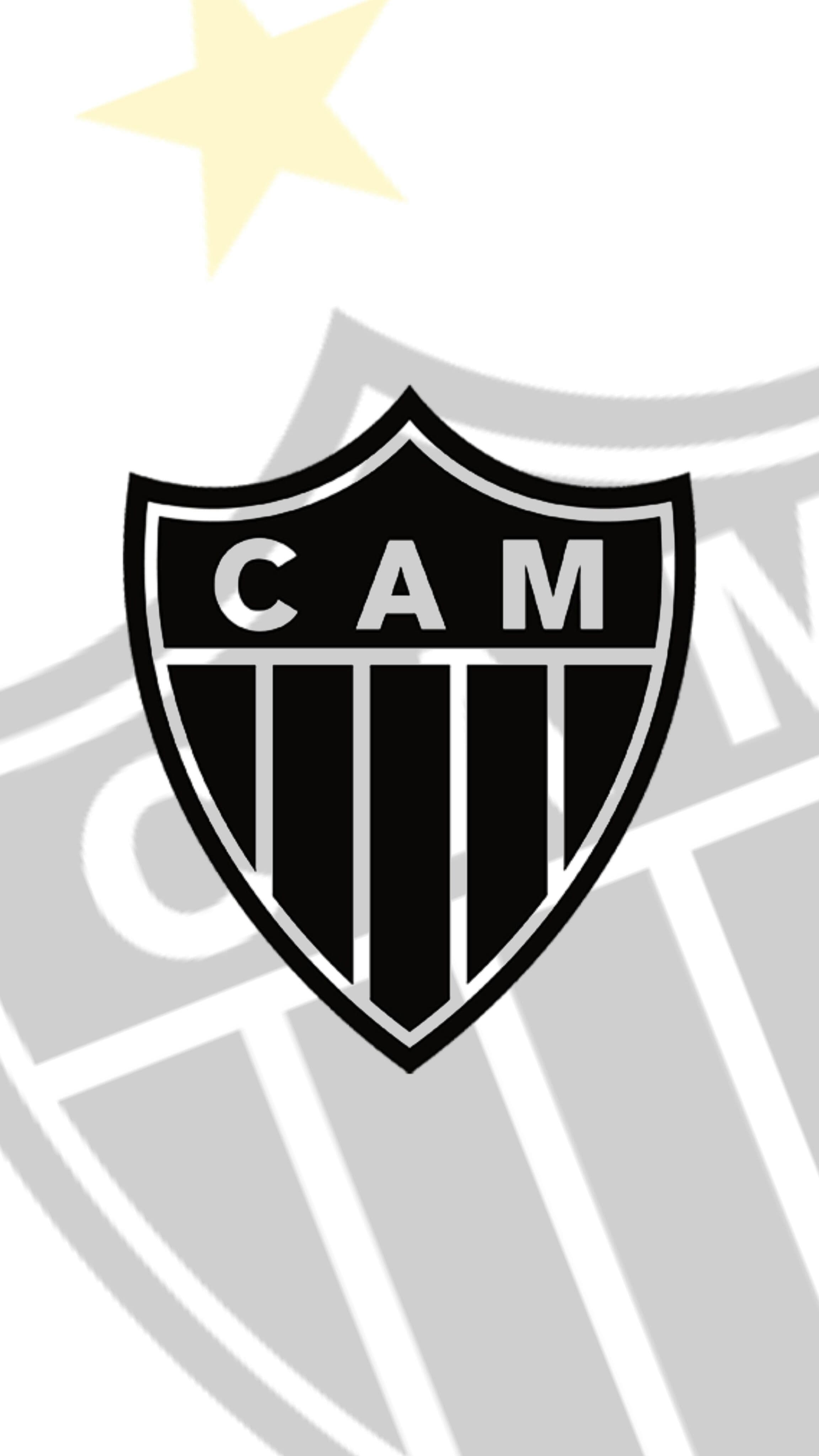 Fashion Clube atlético mineiro 