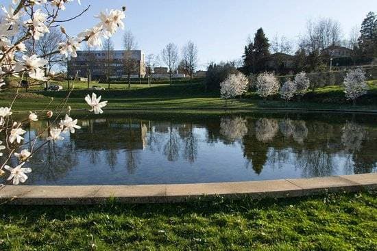 Place Jardim Botânico da Universidade de Trás-os-Montes e Alto Douro