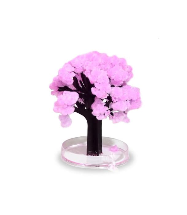 Product Thumbs Up! Magic Sakura El Asombroso árbol en Miniatura