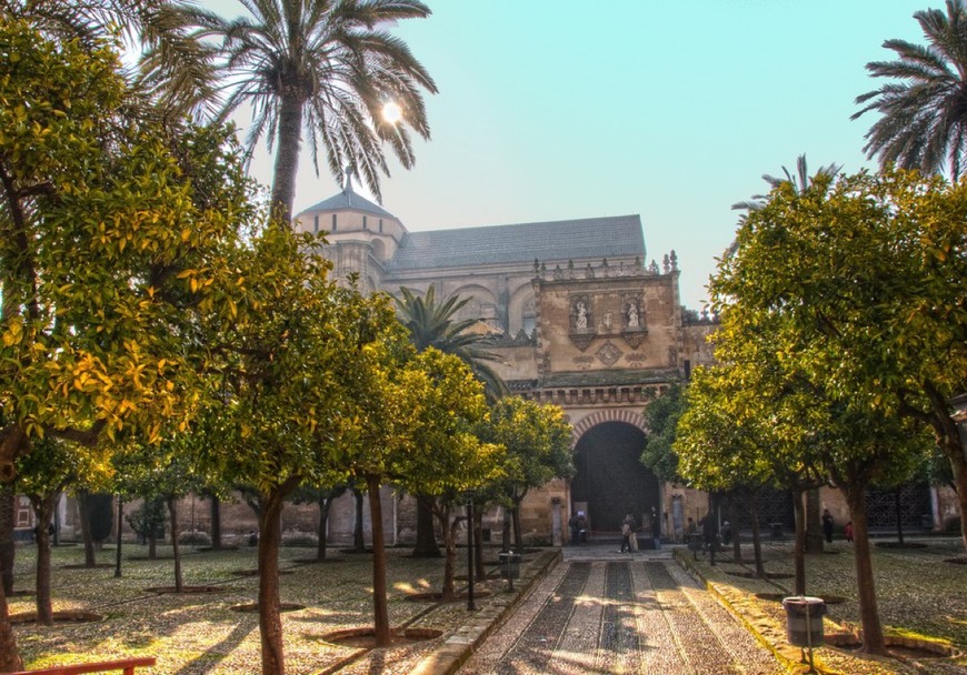 Place Patio de los Naranjos