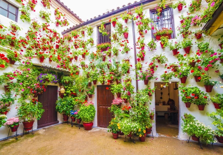 Place Homenaje a la Fiesta de los Patios de Córdoba