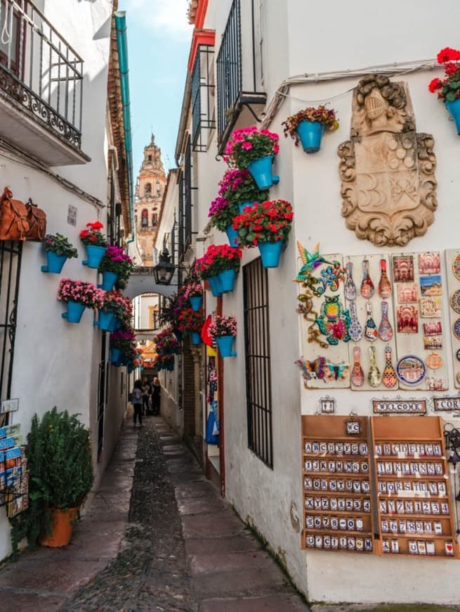 Place Calleja de las Flores