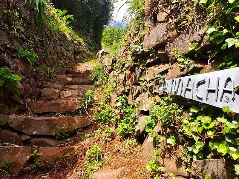 Lugar Camacha - Levada do Caniço