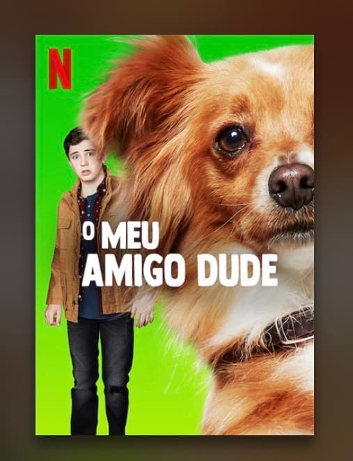 Serie O Meu Amigo Dude