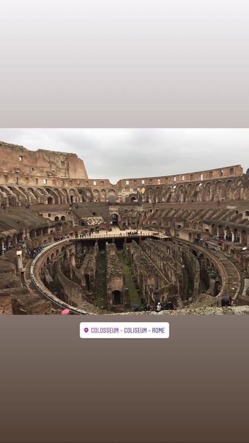 Lugar Coliseo de Roma