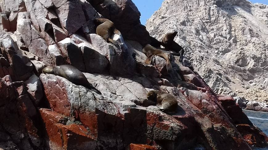 Place Paracas National Reserve, La Cattedrale