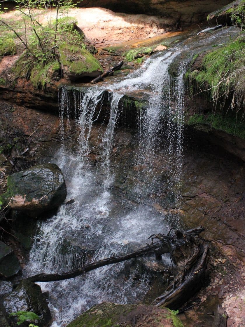 Lugar Houghton Falls State Natural Area