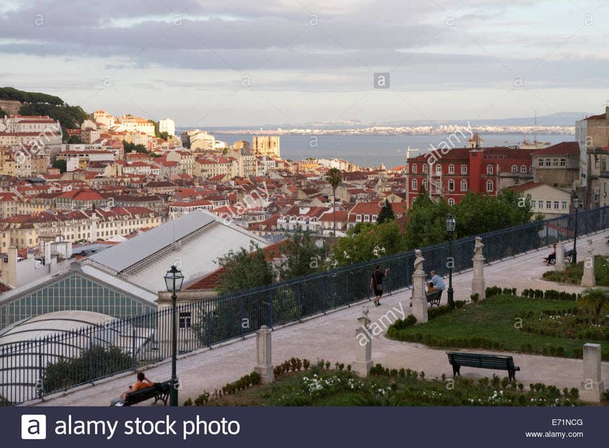 Place Jardín de São Pedro de Alcântara