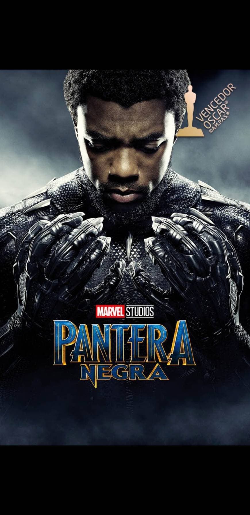 Movie La pantera negra