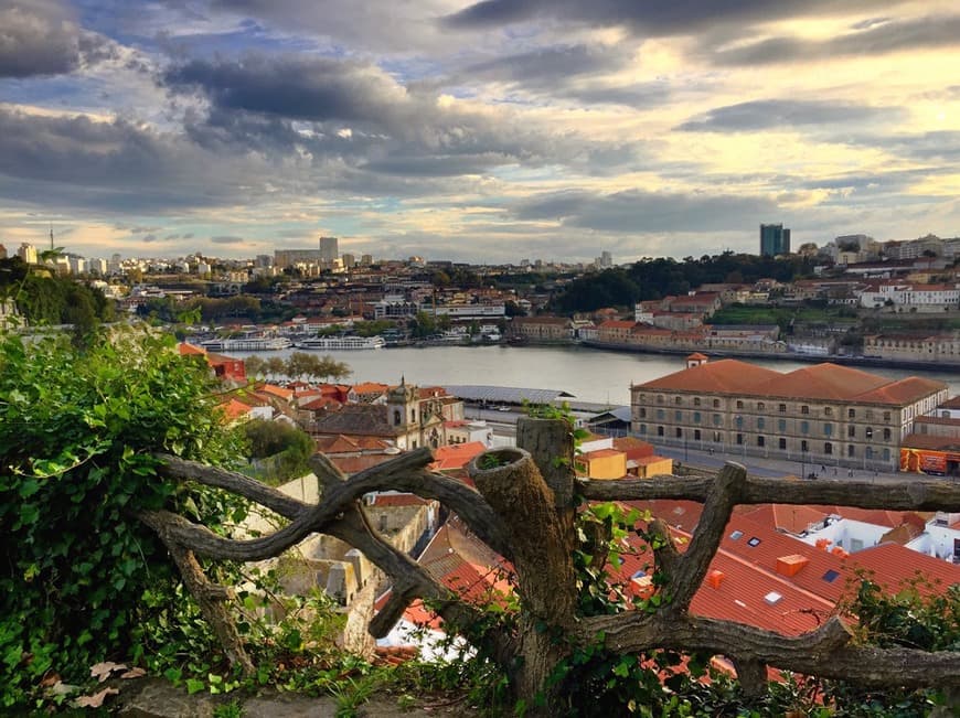 Place Parque das Virtudes