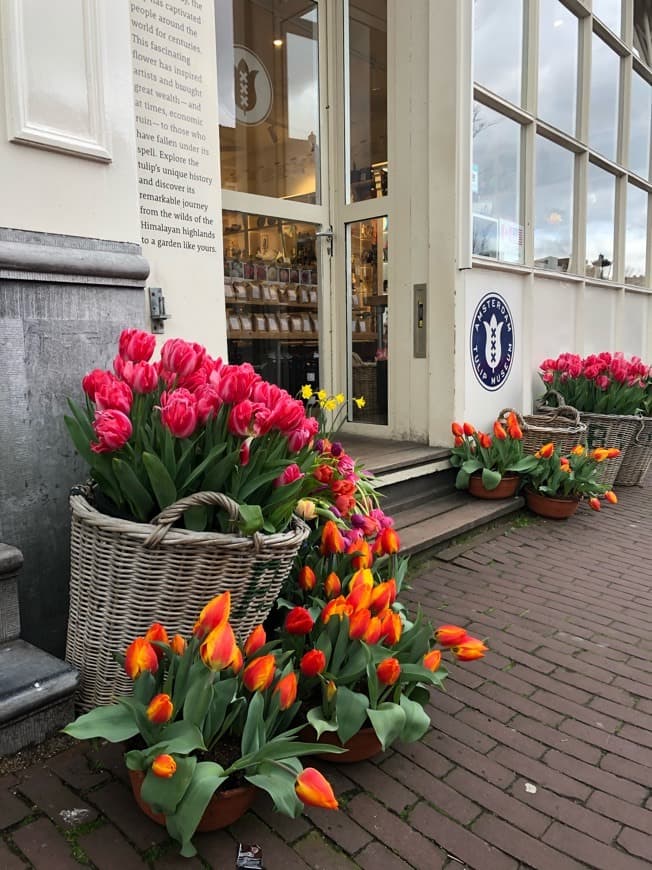 Place Amsterdam Tulip Museum