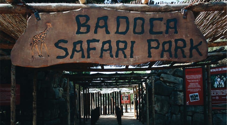 Lugar Badoca Safari Park