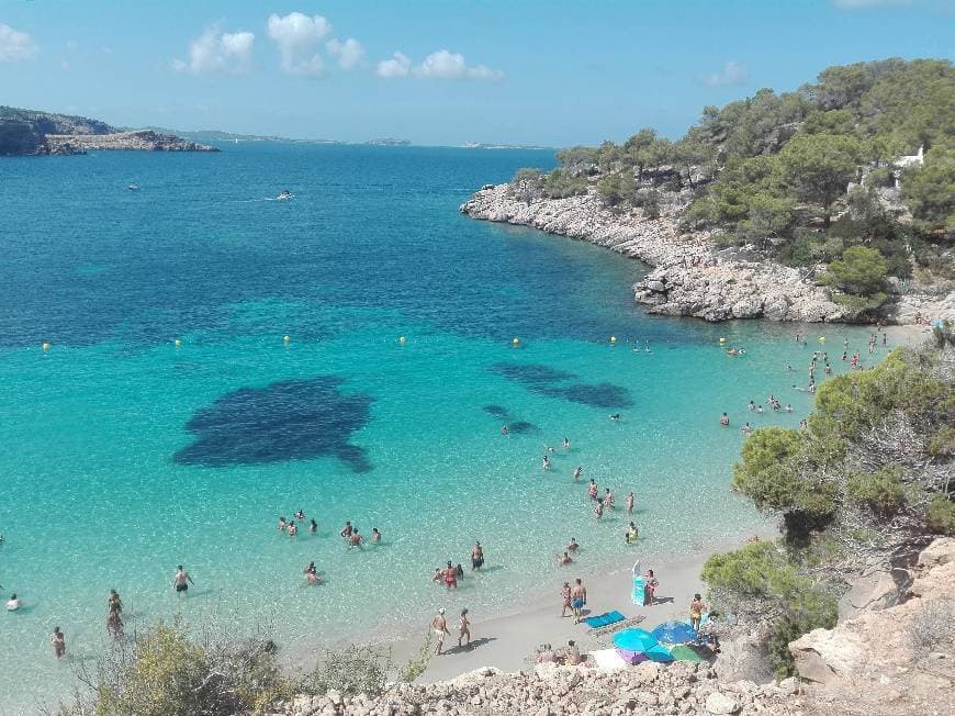 Lugar Ibiza