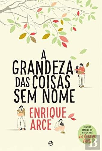 Book A Grandeza das Coisas Sem Nome