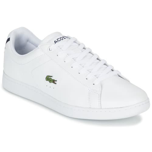 Moda Lacoste Carnaby EVO 

