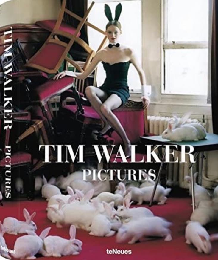 Book Tim Walker