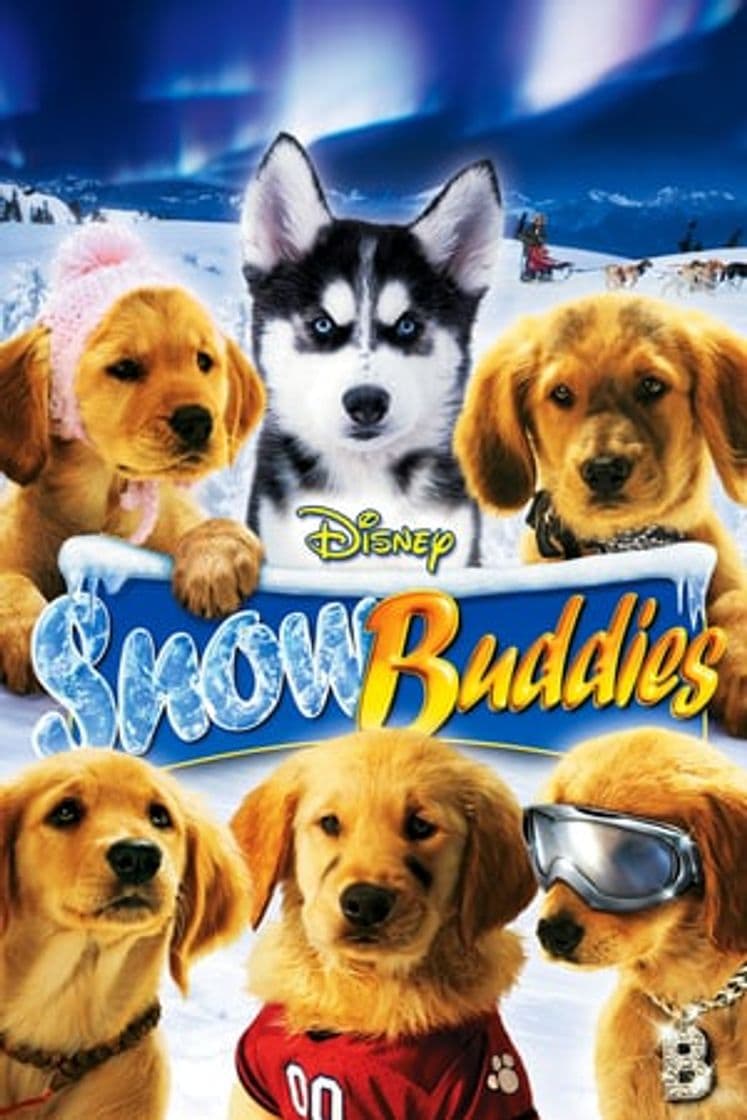 Movie Snow Buddies