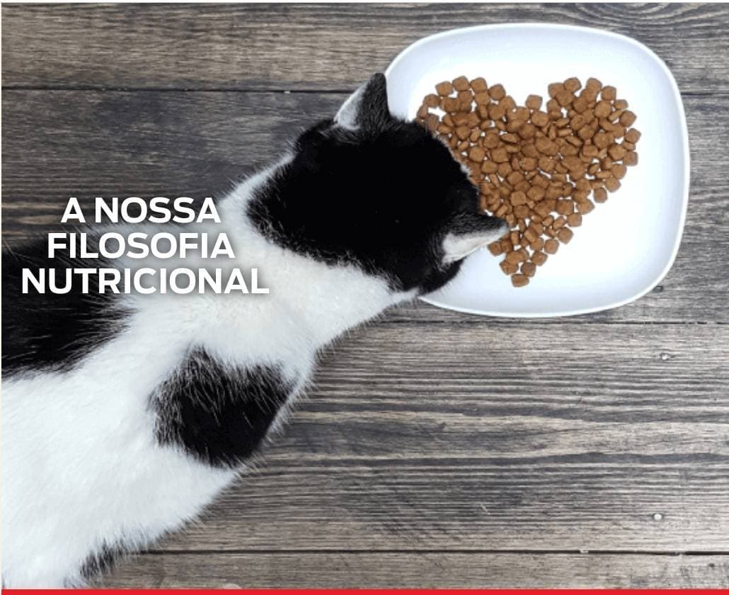 Fashion PURINA your pet, our passion