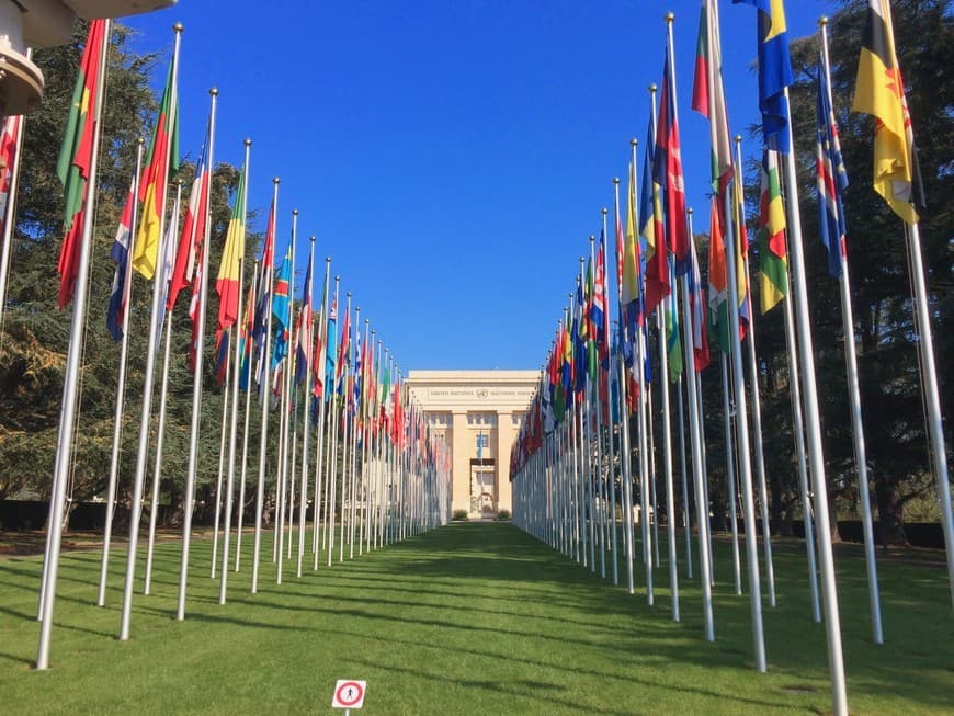 Lugar Oficina de la Organización de las Naciones Unidas en Ginebra