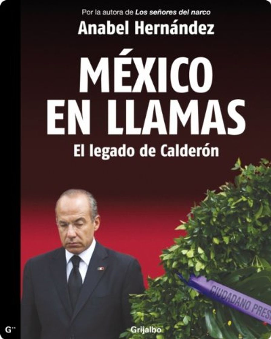 Book México en Llamas: el legado de Calderón