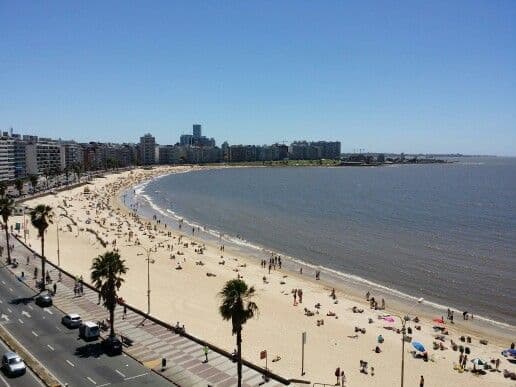 Place Playa de los Pocitos