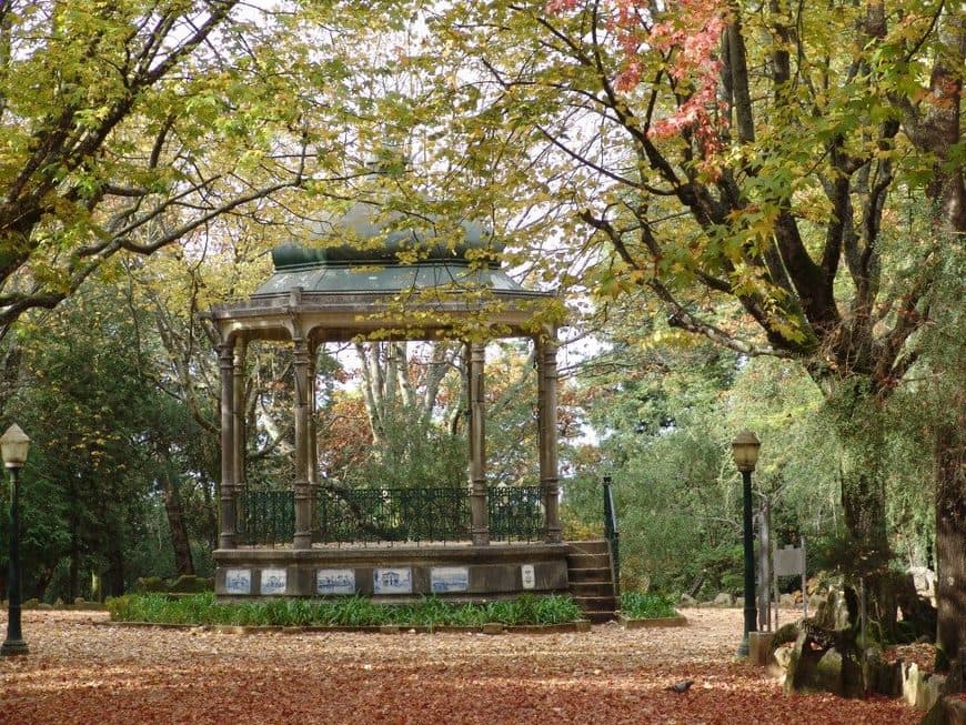 Place Oliveira de Azeméis