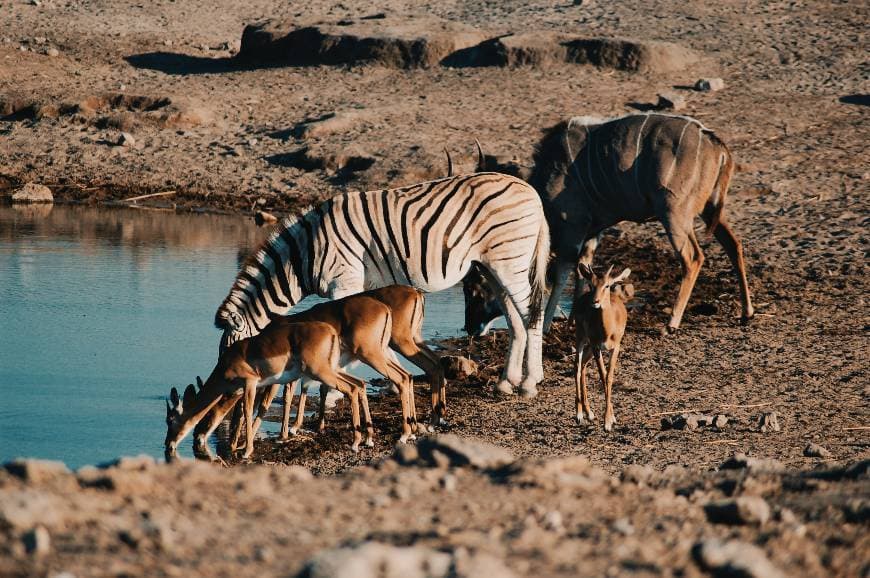 Place Namibia