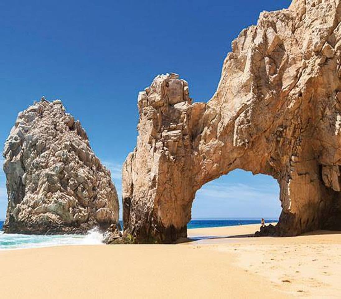 Place Los Cabos