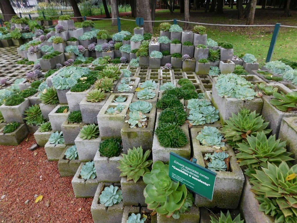 Place Jardín Botánico del Bosque de Chapultepec