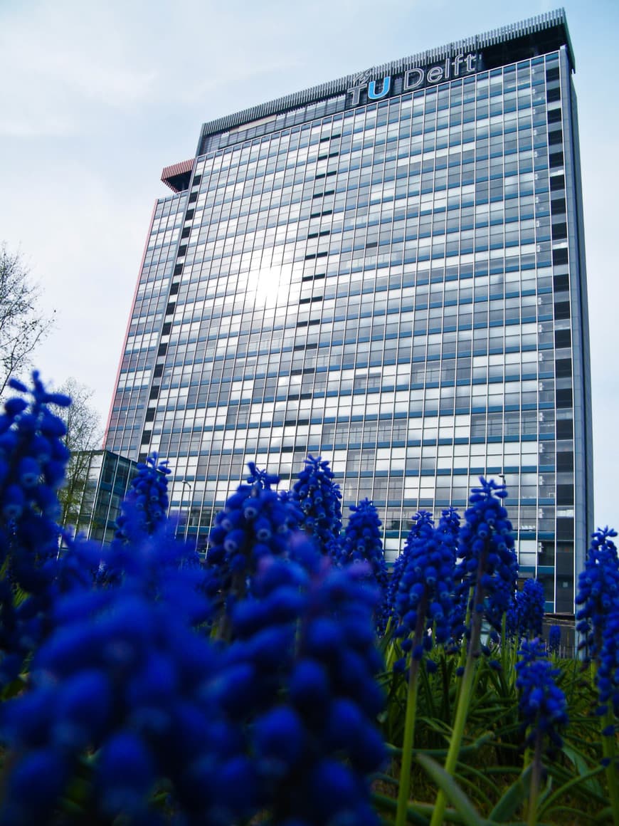 Place Delft University of Technology (TU Delft)