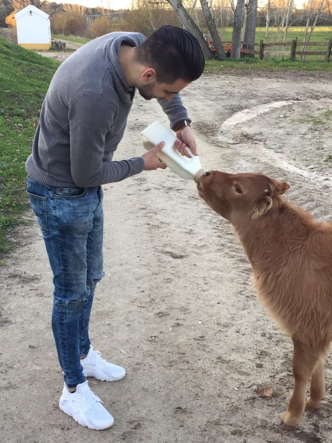 Lugar Herdade do Moinho Novo