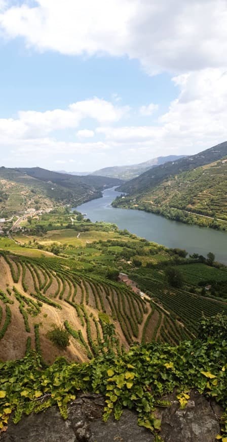 Lugar Douro