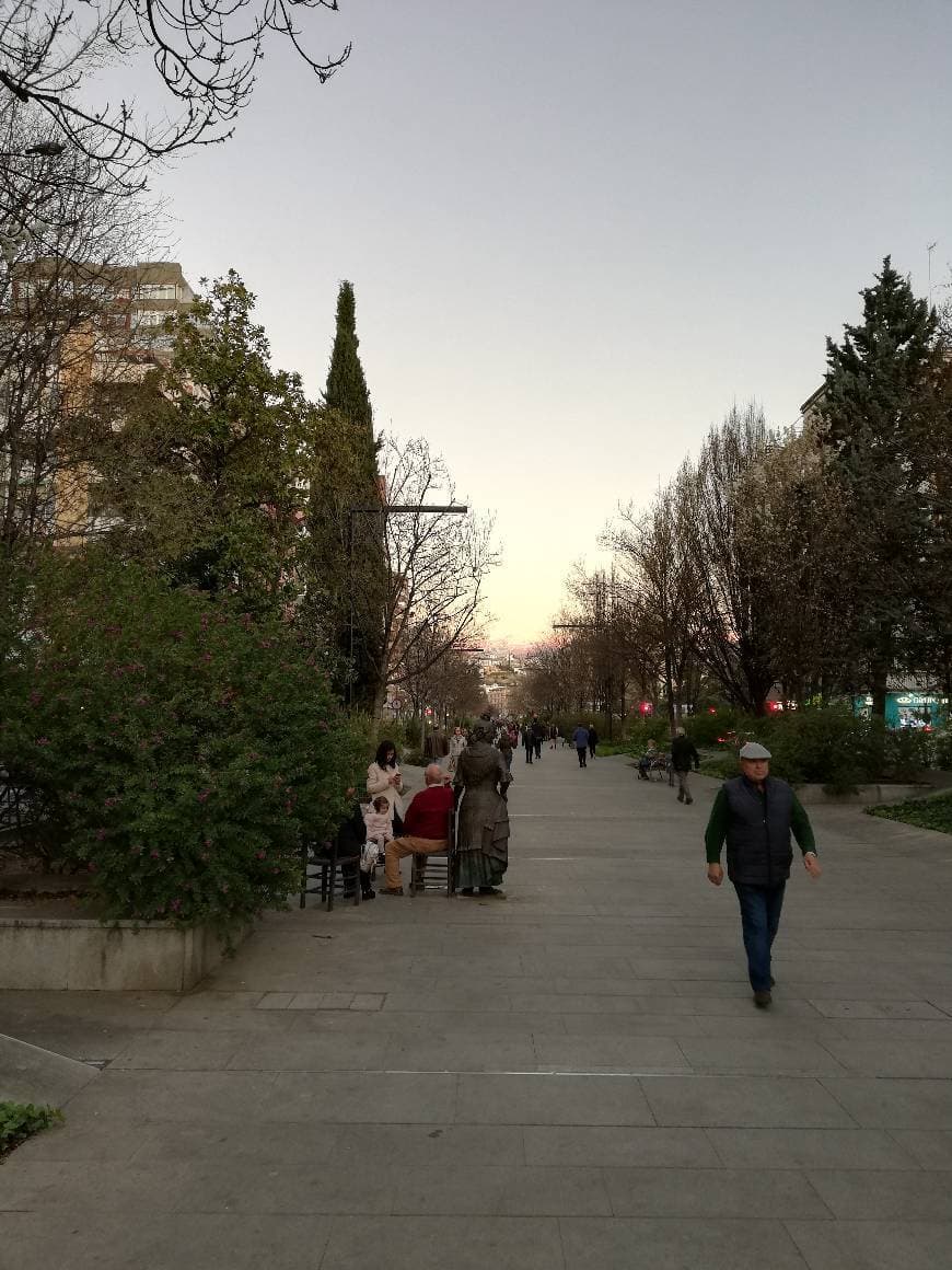 Place Avenida de la Constitución